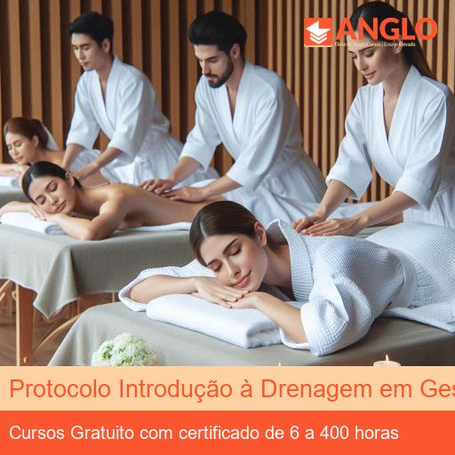 Protocolo Introdução à Drenagem em Gestante
